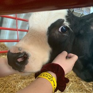 Meet your Posher, Brylan